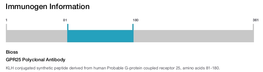 GPR25 Polyclonal Antibody