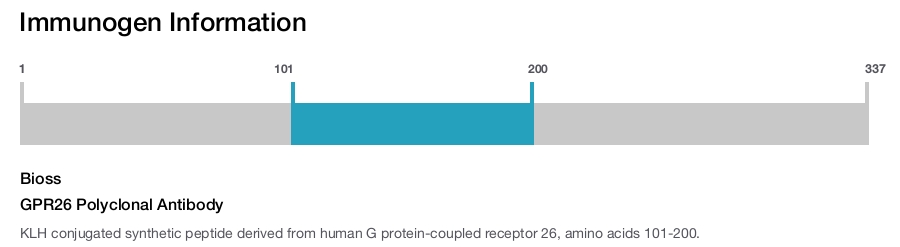GPR26 Polyclonal Antibody