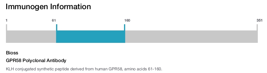 GPR58 Polyclonal Antibody