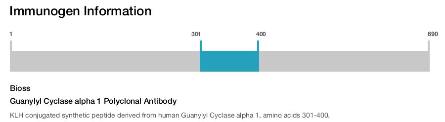 Guanylyl Cyclase alpha 1 Polyclonal Antibody