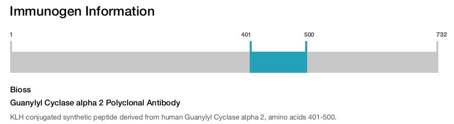 Guanylyl Cyclase alpha 2 Polyclonal Antibody