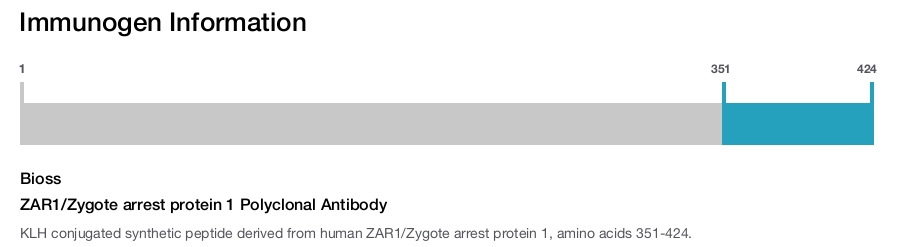 ZAR1/Zygote arrest protein 1 Polyclonal Antibody