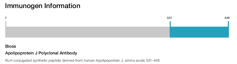 Apolipoprotein J Polyclonal Antibody