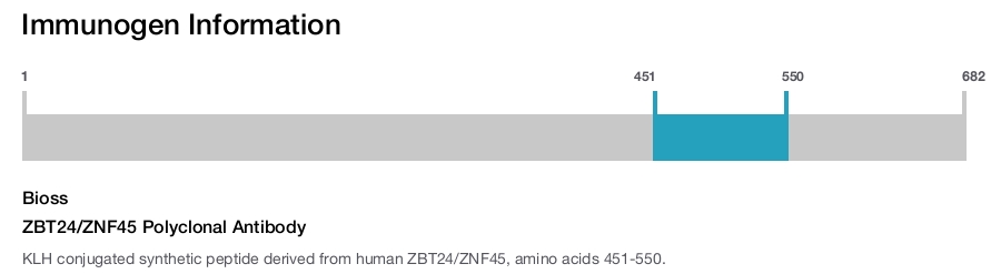 ZBT24/ZNF45 Polyclonal Antibody