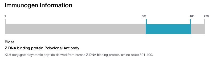 Z DNA binding protein Polyclonal Antibody