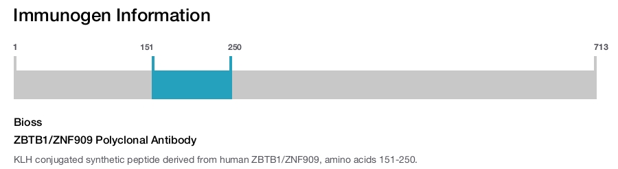 ZBTB1/ZNF909 Polyclonal Antibody