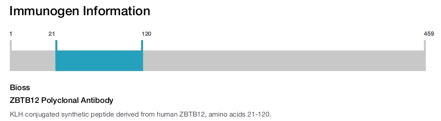 ZBTB12 Polyclonal Antibody