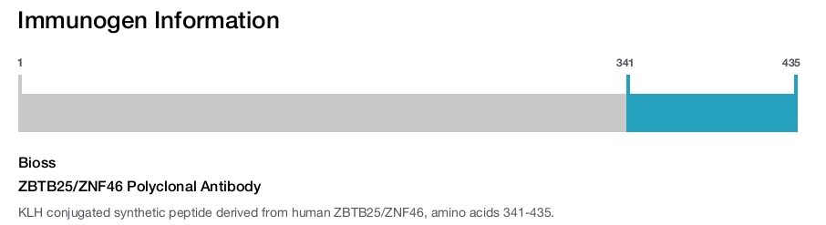 ZBTB25/ZNF46 Polyclonal Antibody
