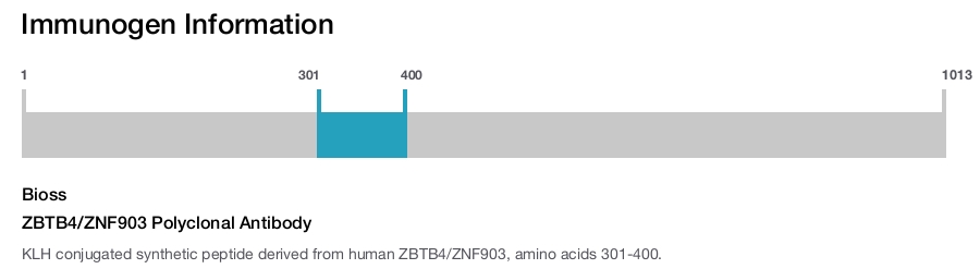 ZBTB4/ZNF903 Polyclonal Antibody