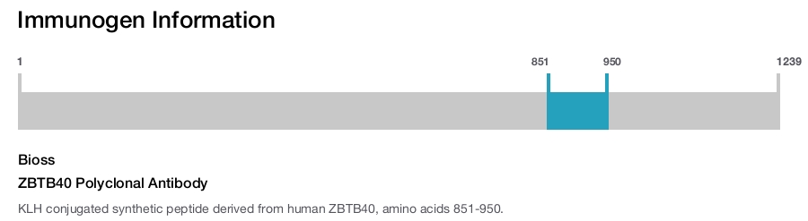 ZBTB40 Polyclonal Antibody