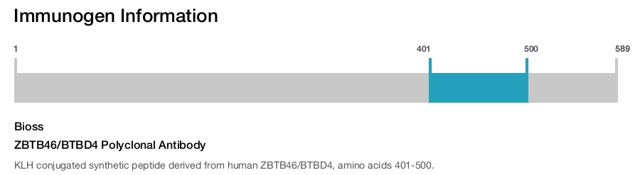 ZBTB46/BTBD4 Polyclonal Antibody