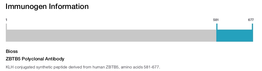 ZBTB5 Polyclonal Antibody