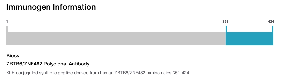 ZBTB6/ZNF482 Polyclonal Antibody
