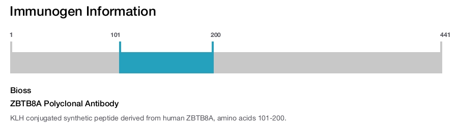 ZBTB8A Polyclonal Antibody