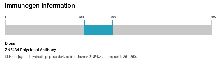 ZNF434 Polyclonal Antibody