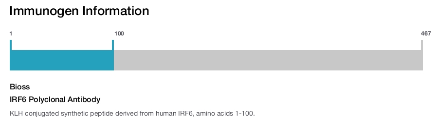 IRF6 Polyclonal Antibody