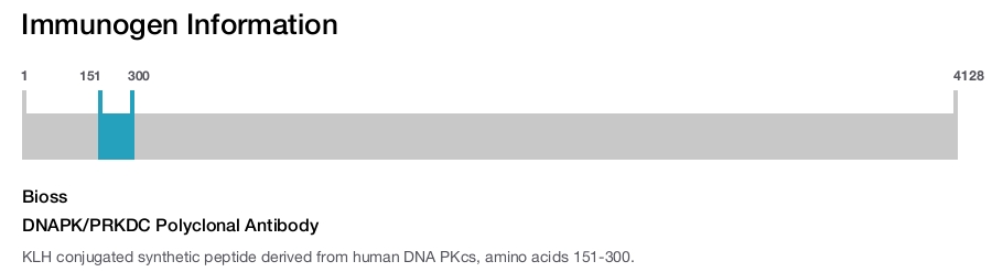 DNAPK/PRKDC Polyclonal Antibody