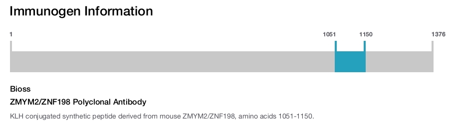 ZMYM2/ZNF198 Polyclonal Antibody