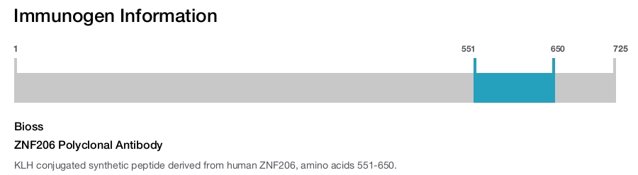 ZNF206 Polyclonal Antibody