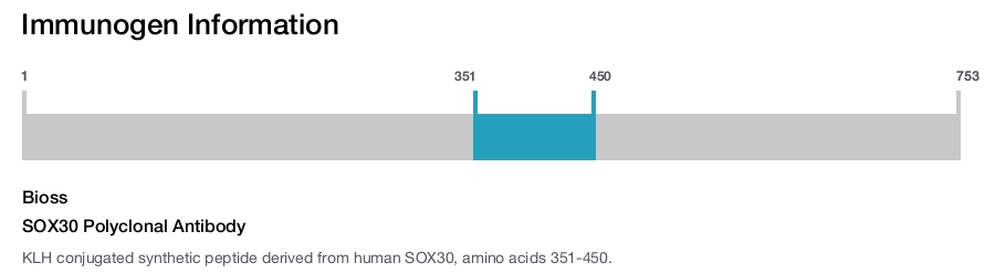 SOX30 Polyclonal Antibody