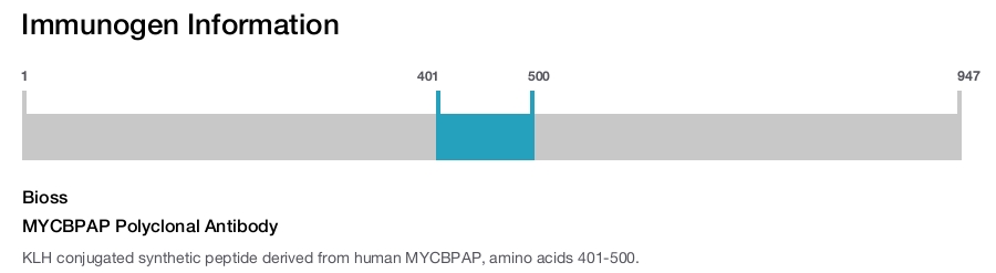 MYCBPAP Polyclonal Antibody