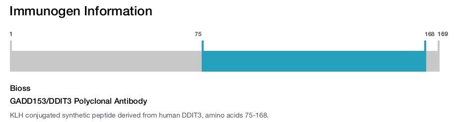 GADD153/DDIT3 Polyclonal Antibody
