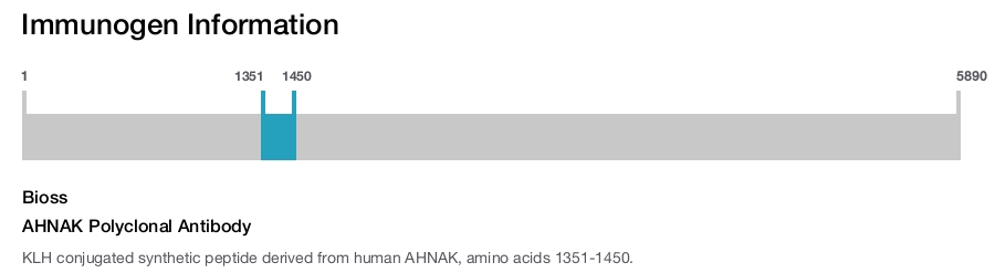 AHNAK Polyclonal Antibody
