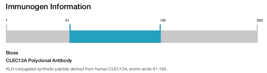 CLEC12A Polyclonal Antibody