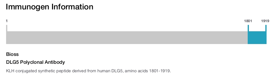 DLG5 Polyclonal Antibody