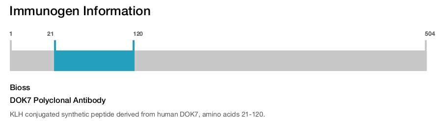 DOK7 Polyclonal Antibody