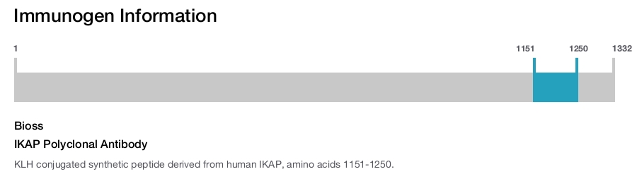 IKAP Polyclonal Antibody