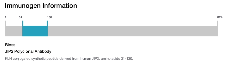 JIP2 Polyclonal Antibody