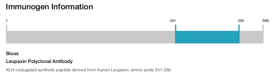Leupaxin Polyclonal Antibody