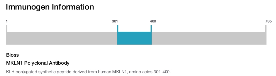 MKLN1 Polyclonal Antibody