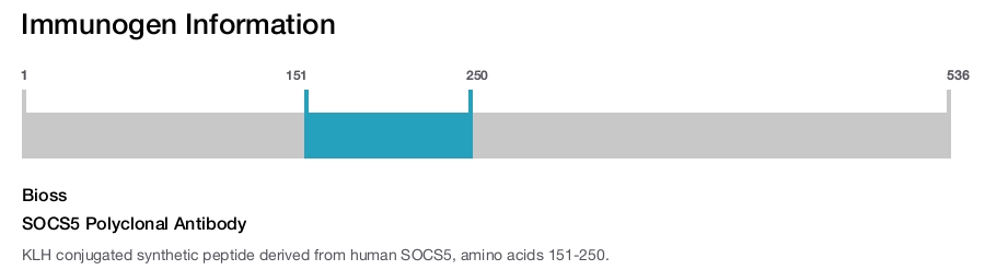 SOCS5 Polyclonal Antibody