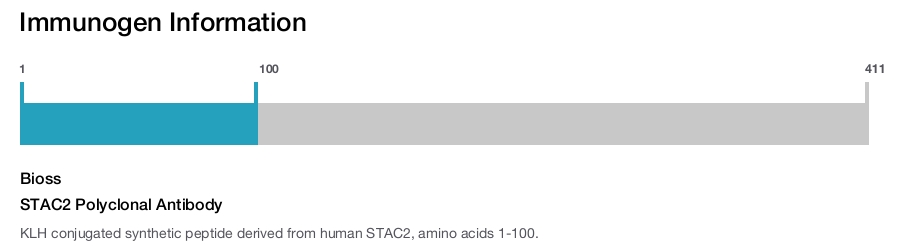 STAC2 Polyclonal Antibody