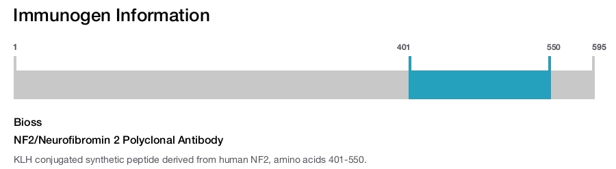 NF2/Neurofibromin 2 Polyclonal Antibody