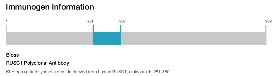 RUSC1 Polyclonal Antibody