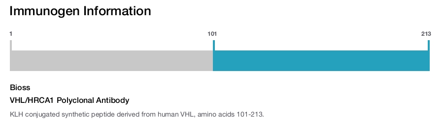 VHL/HRCA1 Polyclonal Antibody