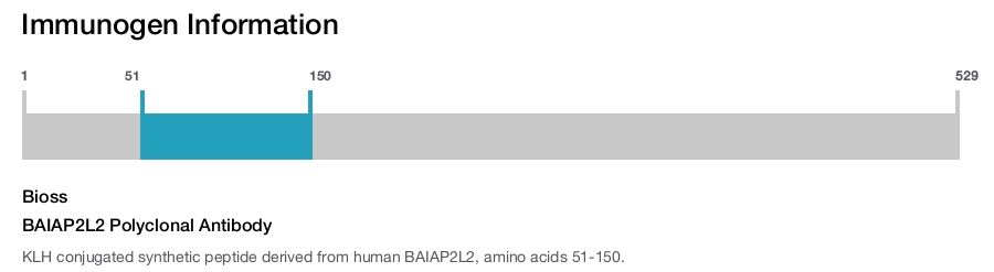 BAIAP2L2 Polyclonal Antibody