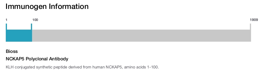 NCKAP5 Polyclonal Antibody
