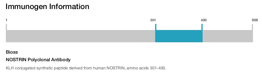 NOSTRIN Polyclonal Antibody