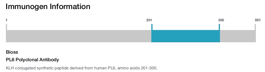 PL6 Polyclonal Antibody