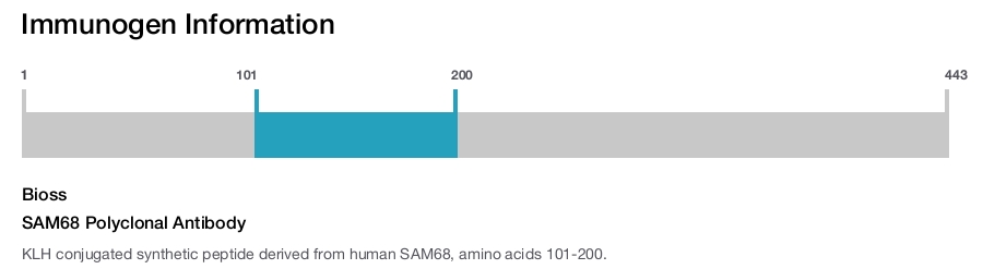 SAM68 Polyclonal Antibody