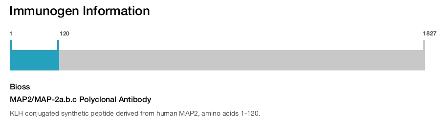 MAP2/MAP-2a.b.c Polyclonal Antibody