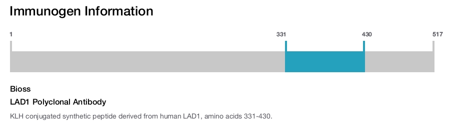 LAD1 Polyclonal Antibody