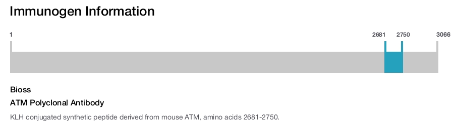ATM Polyclonal Antibody