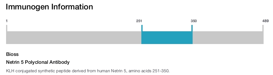 Netrin 5 Polyclonal Antibody