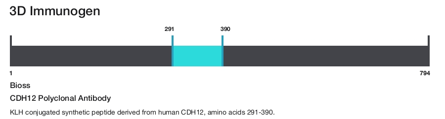 CDH12 Polyclonal Antibody