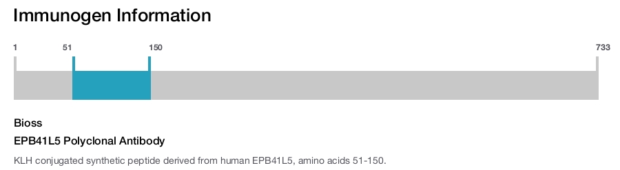 EPB41L5 Polyclonal Antibody